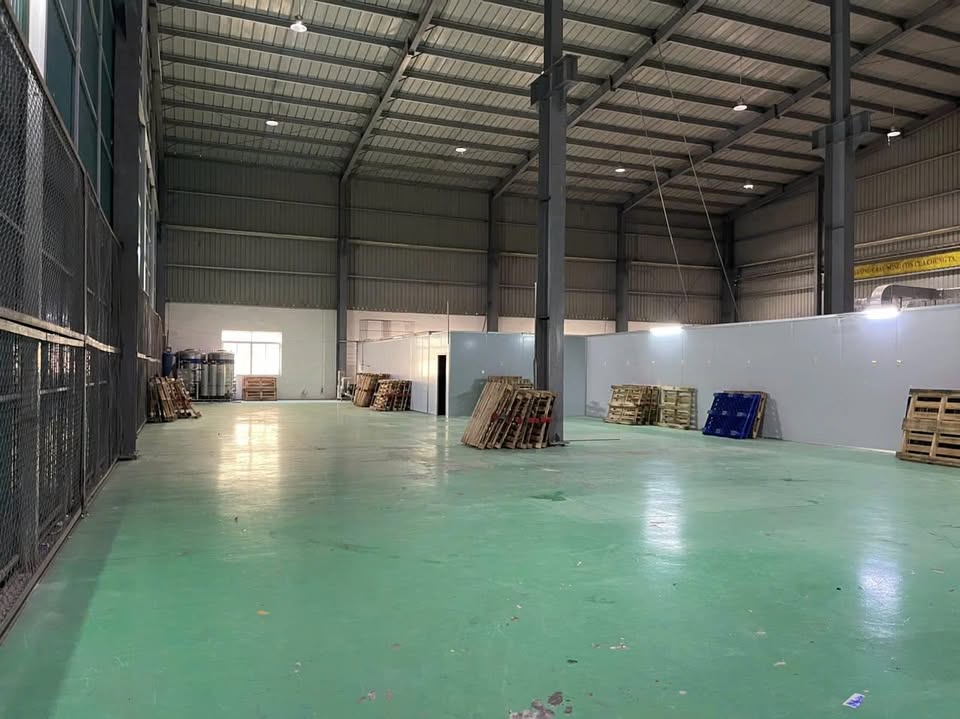 Sân Pickleball